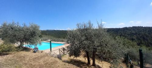 Istrice cosy apartment with garden pool tennis wifi — 4-Star Luxury Hotel in Castellina In Chianti, Italy
