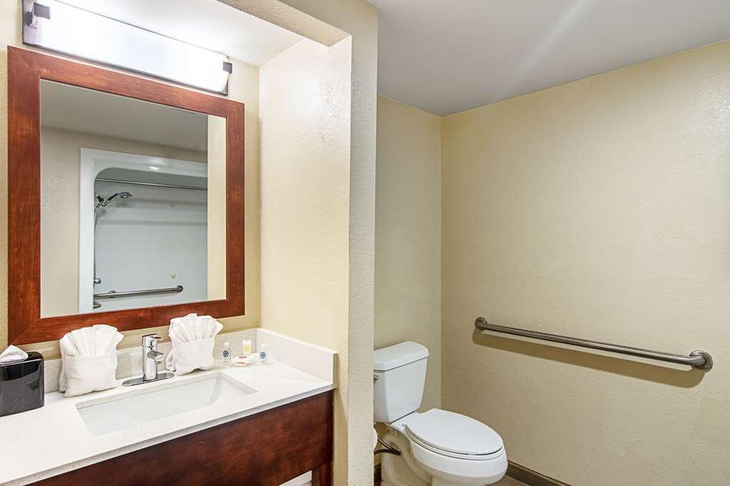 Comfort Suites Knoxville Airport - photo 7