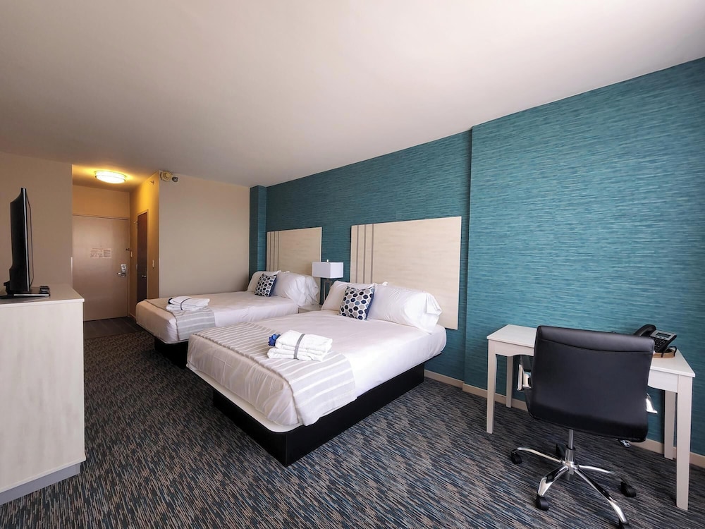 Illinois Beach Hotel - photo 11