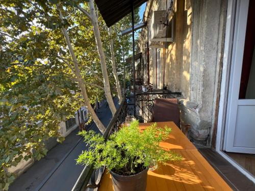 Lola Apartments