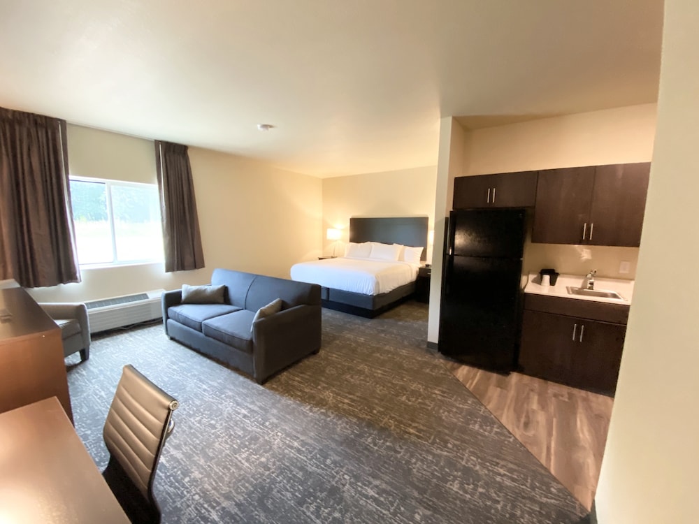 Cobblestone Inn & Suites Forest City - photo 11