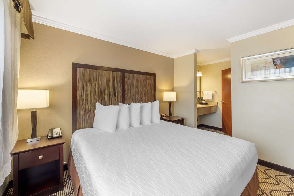 Best Western Plus Orchid Hotel & Suites - photo 57