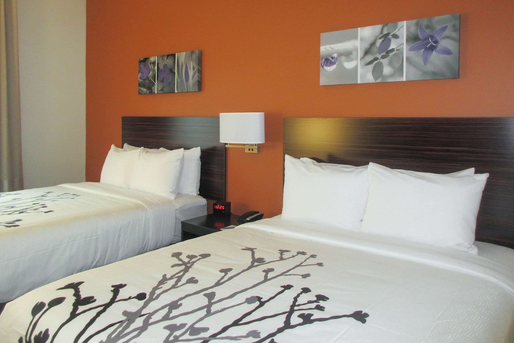 Sleep Inn & Suites Oregon Madison - photo 6