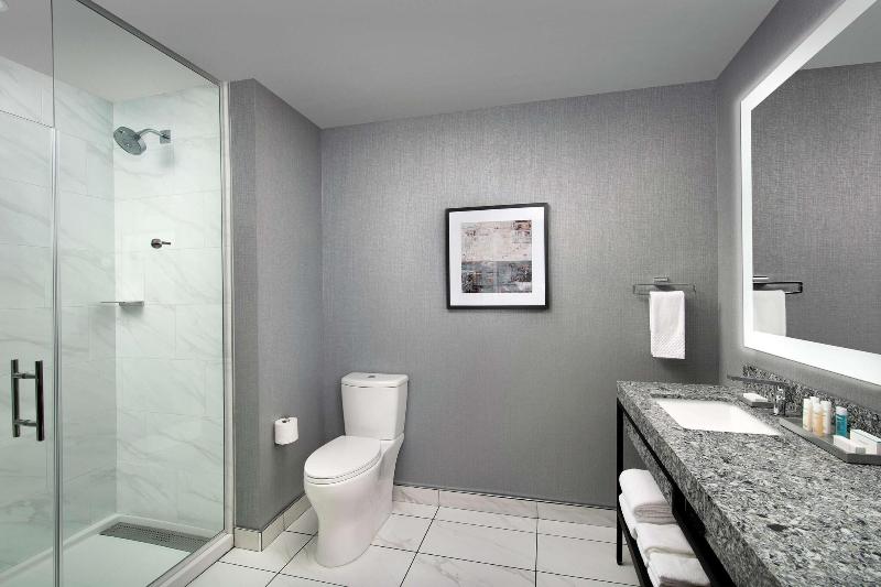 Embassy Suites by Hilton Knoxville Downtown - photo 48