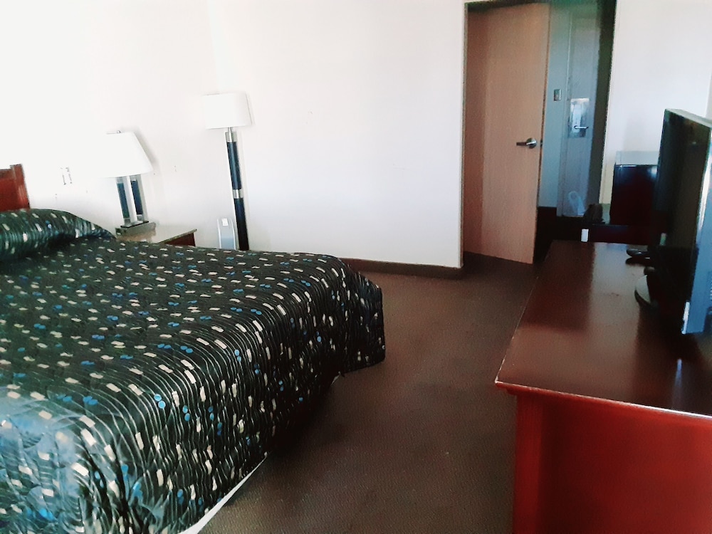 The Vegas Motel - photo 24