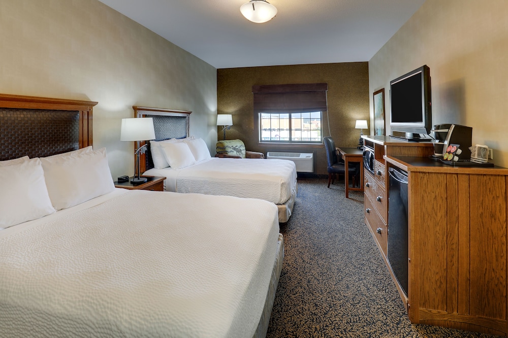 Stoney Creek Hotel Sioux City - photo 12