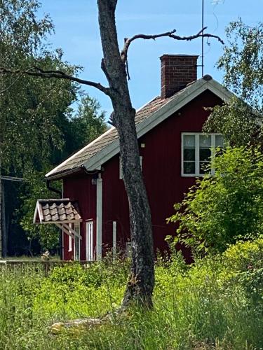 Elsas koja - last minute hotel in Unknown City
