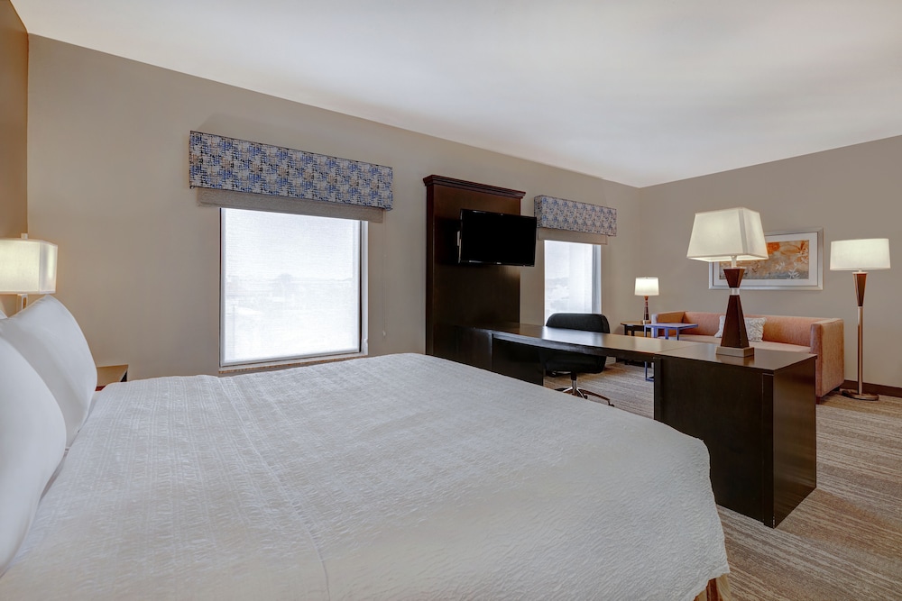 Hampton Inn & Suites Tampa Northwest Oldsmar - photo 14