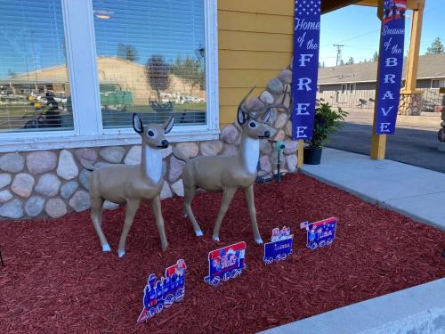 Antlers Inn - photo 2