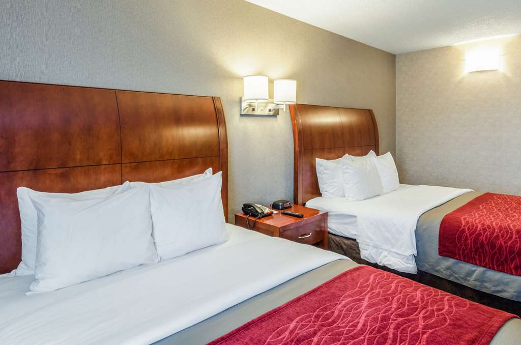 Comfort Inn & Suites West Springfield - photo 17