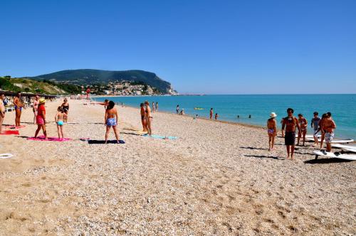 Appartamento bilocale CON SPIAGGIA E PISCINA incluse Taunus Vacanze cod 240 — Numana — photo 2