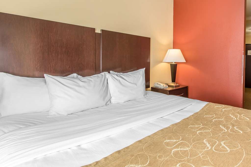 Comfort Suites Lawton Near Fort Sill - photo 9