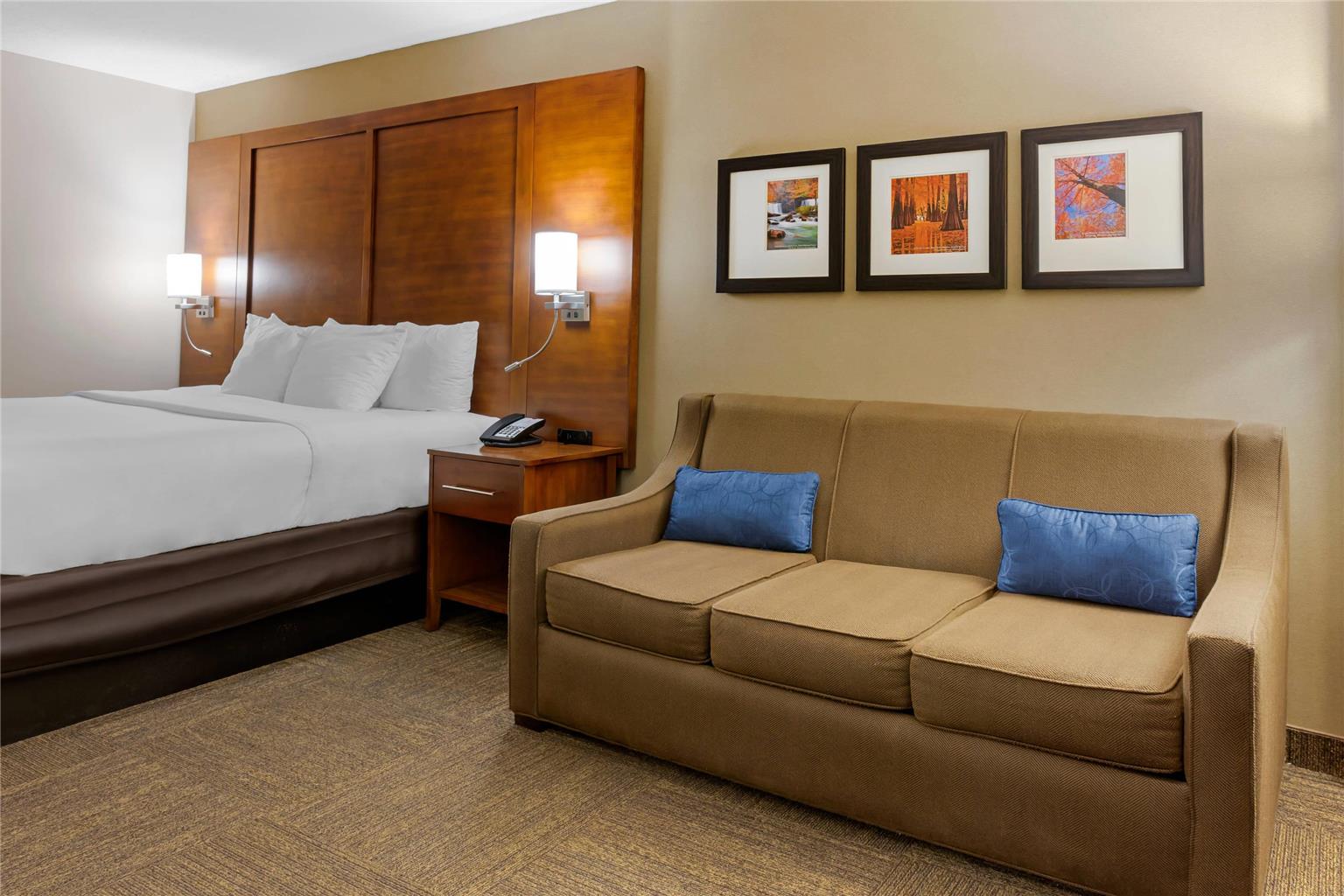 Comfort Inn & Suites Presidential Downtown Little Rock - photo 8