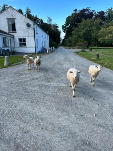 Gurteen farm house — 4-Star Luxury Hotel in Cluain Meala, Republic of Ireland