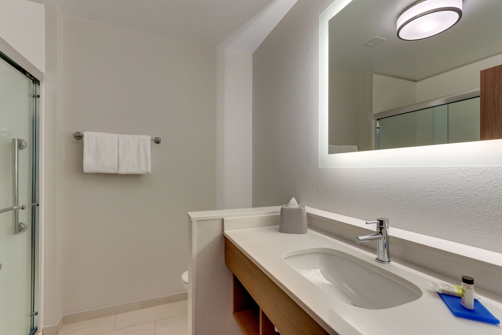 Holiday Inn Express & Suites Roanoke Civic Center by IHG - photo 37
