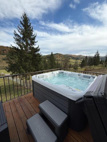 Căsuțe cu Jacuzzi în Tiny Land — Tupilati — photo 2