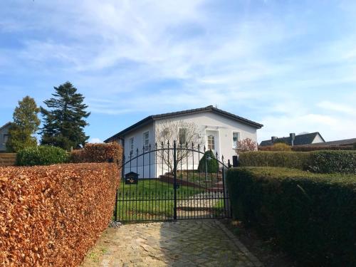 Spatzennest in Unknown City, Germany