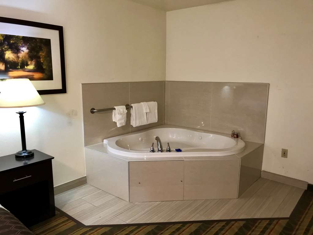 Best Western Visalia Hotel - photo 44