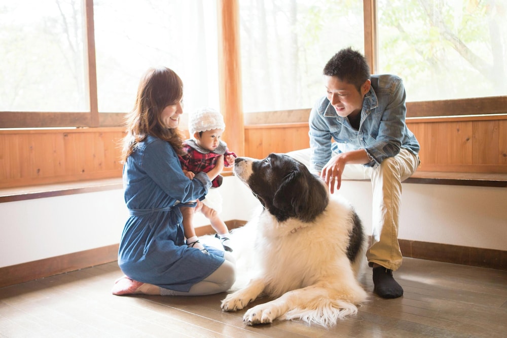 Izumigo Hotel Ambient Tateshina Cottage in Nagano, Japan
