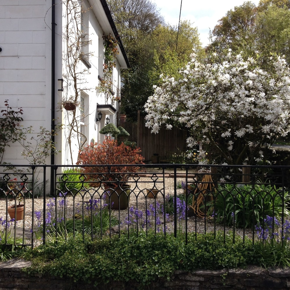 Clayhill House Bed & Breakfast — 4-Star Luxury Hotel in Lyndhurst, United Kingdom