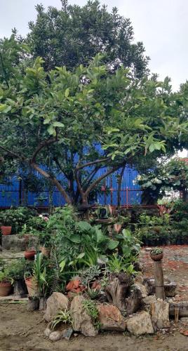 Amu Ghumounte Stay in Patan, Nepal