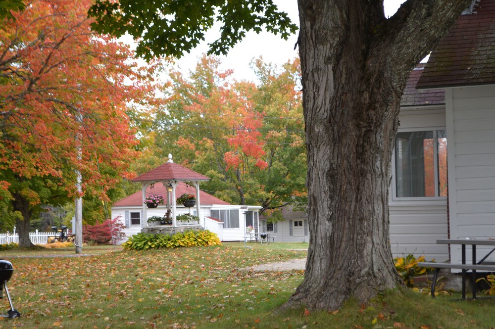 Eden Village Motel & Cottages - photo 18