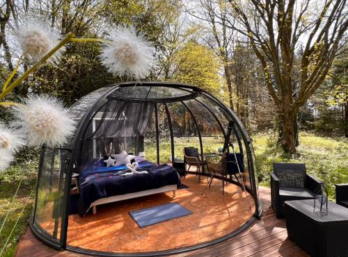Dome Atmo'sphere la Tete Dans Les Etoiles Avec Acces Piscine — hotel in Saint-Evarzec