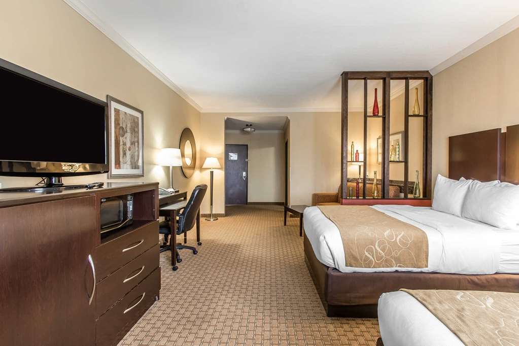 Comfort Suites Lawton Near Fort Sill - photo 7