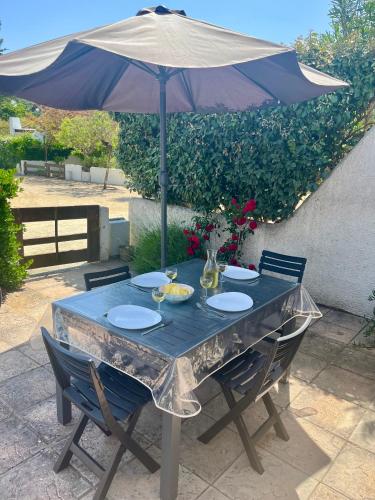 Camelia in Saint-Jean-De-Monts, France