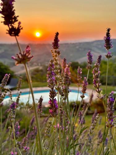 Refugium Veritas Entire Villa with Pool — 4-Star Luxury Hotel in Cupramontana, Italy