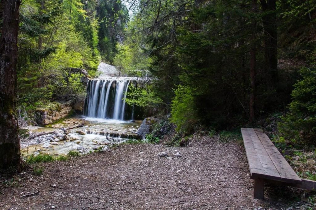 Sobe v Gozdu — Kranjska Gora — photo 5