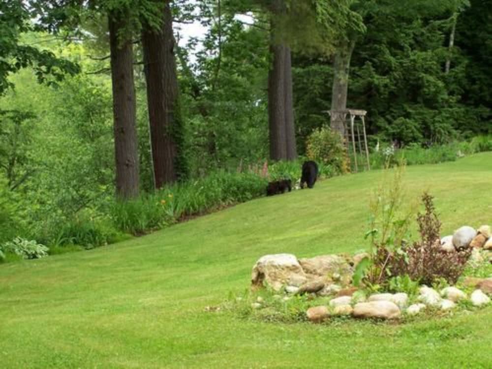 Inn at Ellis River - photo 65
