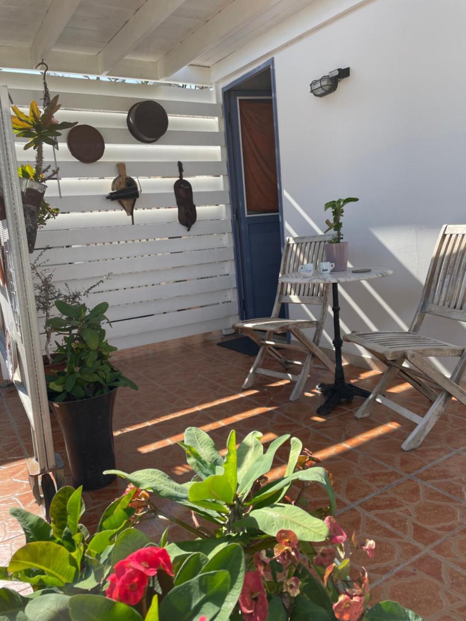 Mp Cozy Apartment Near the Sea