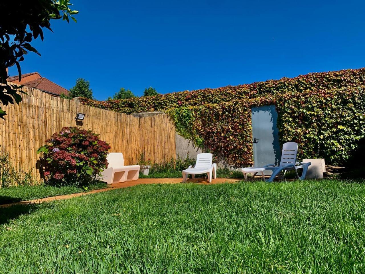 Arbol Blaanco — Llanera