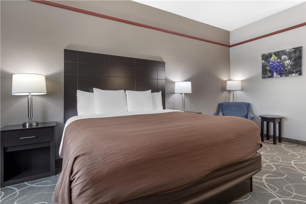 Best Western Limestone Inn & Suites - photo 14