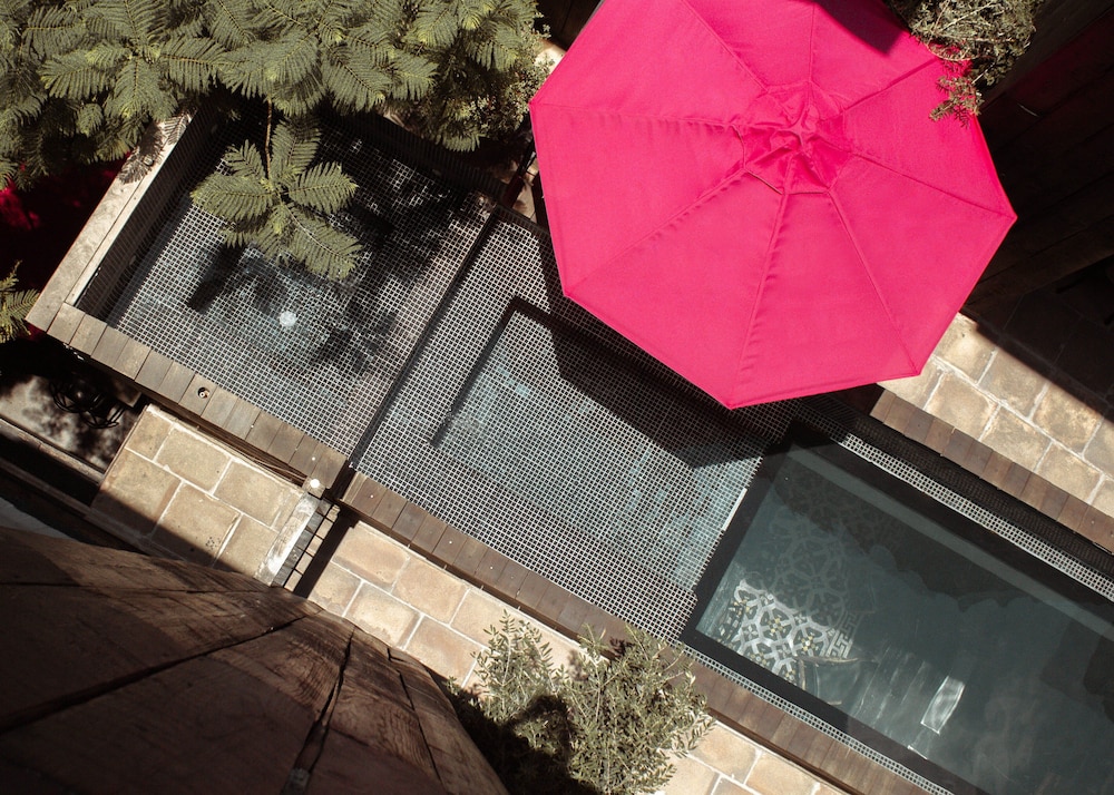 Elena de Cobre Leon a Member of Design Hotels — Leon De Los Aldama — photo 2