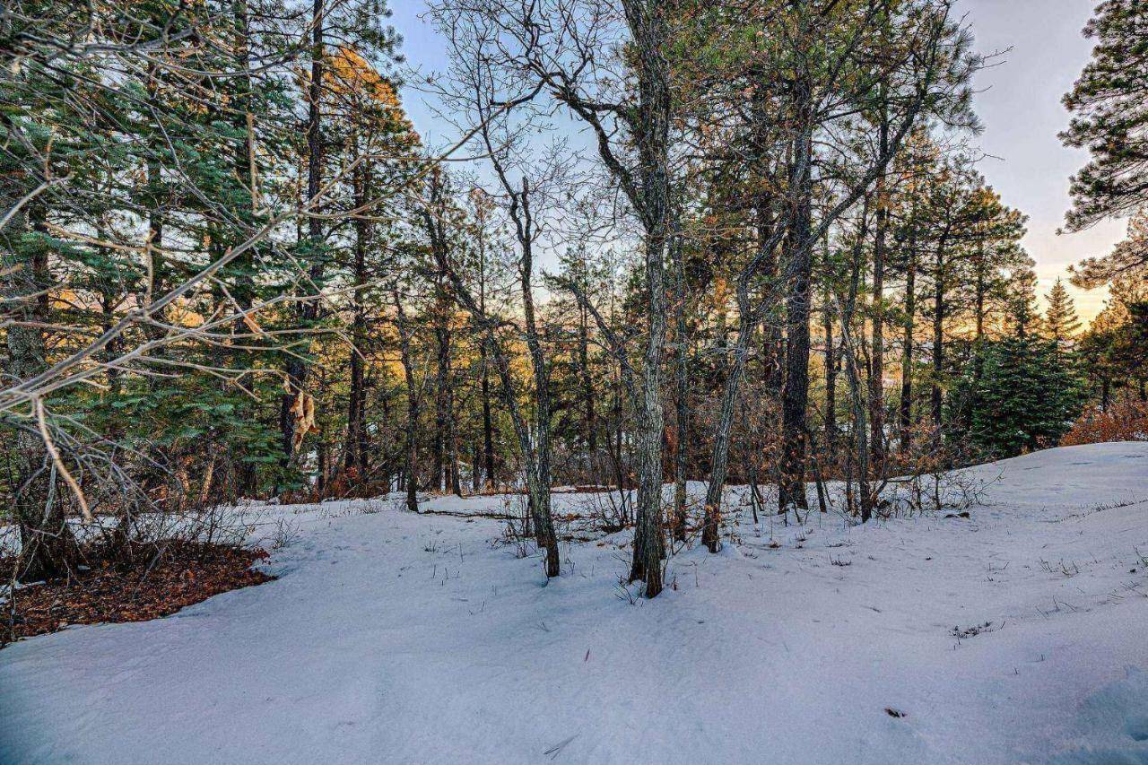 86 Larkspur Pl in Pagosa Springs, United States