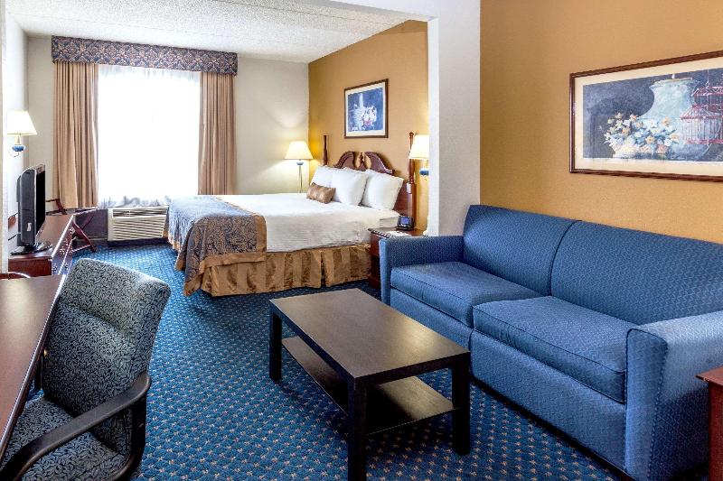 Wingate By Wyndham Atlanta Six Flags Austell - photo 18
