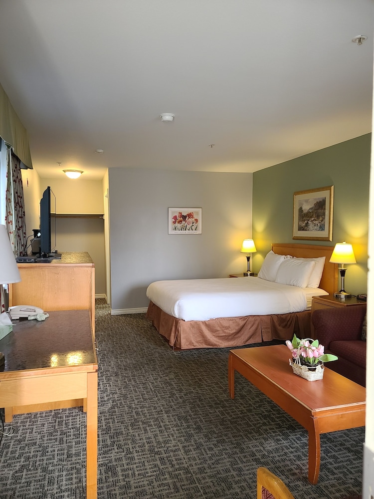 Tulip Inn - photo 12