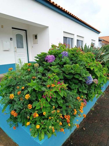 Apartamento da Matilde — 4-Star Luxury Hotel in Santa Cruz Das Flores, Portugal