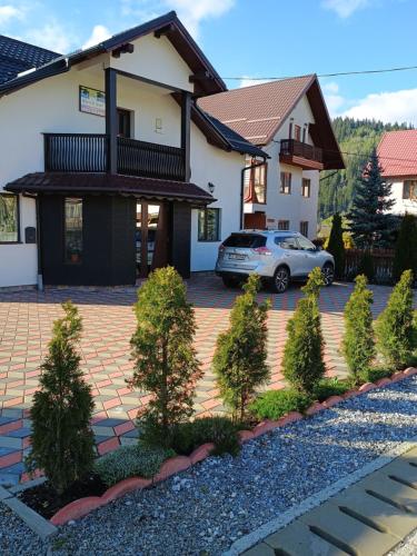 Nico Ștef in Vatra Dornei, Romania