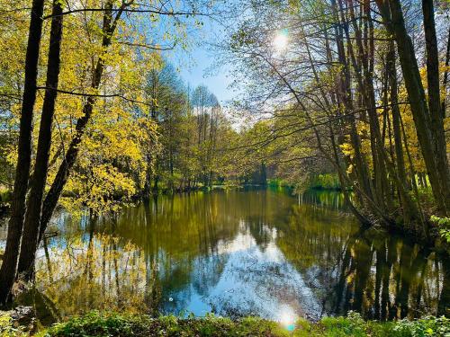 Ośrodek Wypoczynkowy Lido Noclegi pet-friendly hotel Przygodzice
