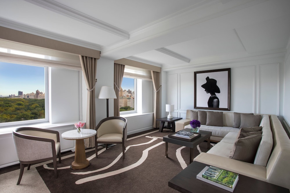 The Ritz Carlton New York Central Park - photo 29
