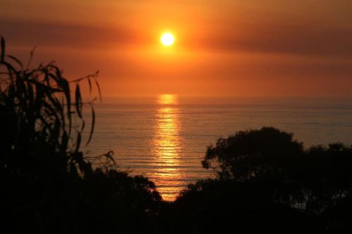Great Ocean Road Sunrises — Lorne — photo 2