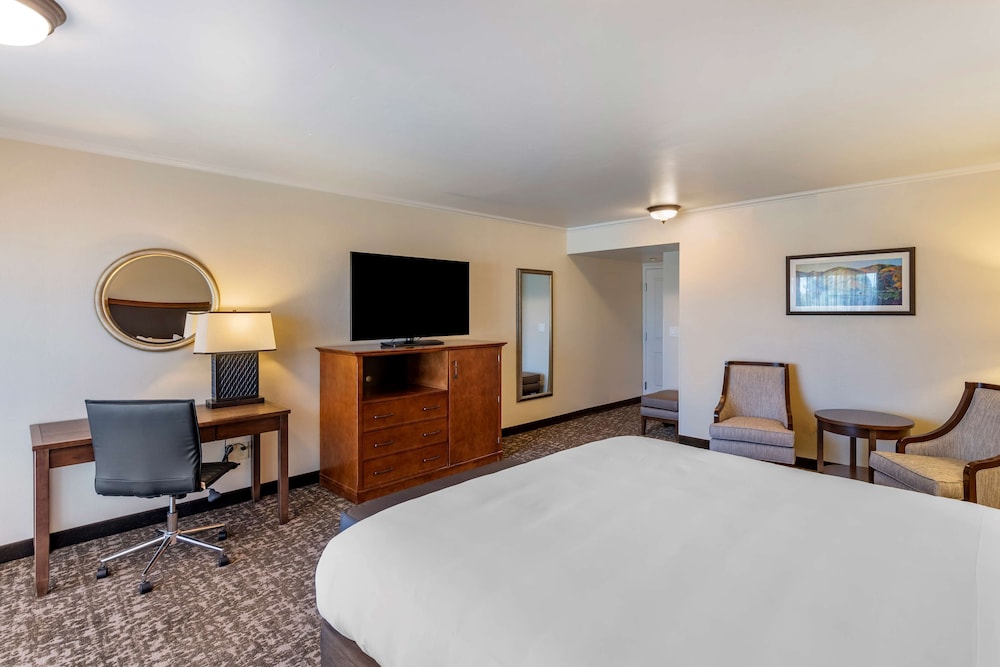 Best Western Plus Royal Oak Hotel - photo 9