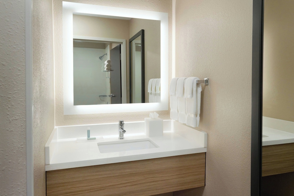 Springhill Suites By Marriott Atlanta Six Flags - photo 16