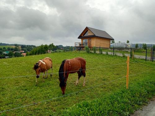 Żarniczki 693 387 544 in Polanczyk, Poland