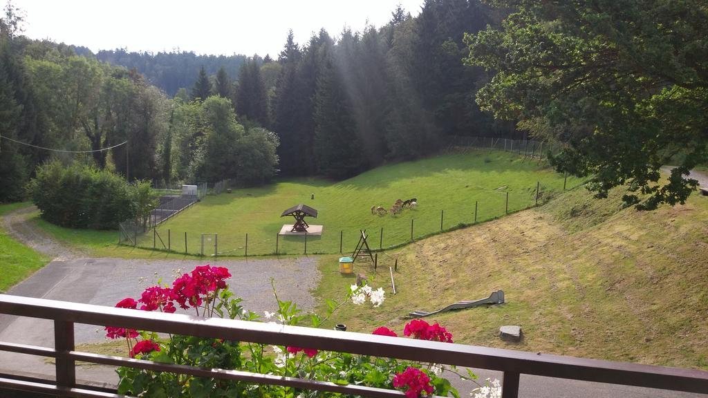 Hotel Restaurant Jägerhof — Unterreichenbach — photo 5