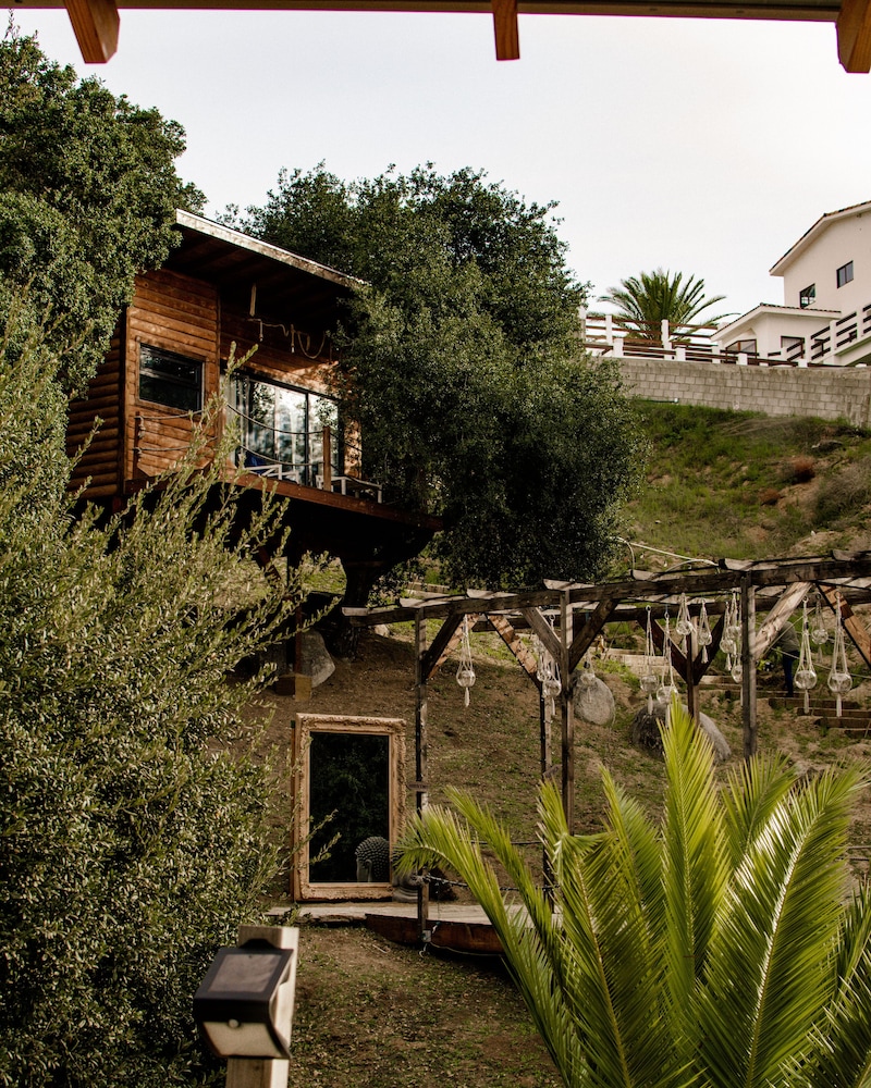 Boskenvid Hotel Romantic Treehouses & Skypool in Valle De Guadalupe, Mexico