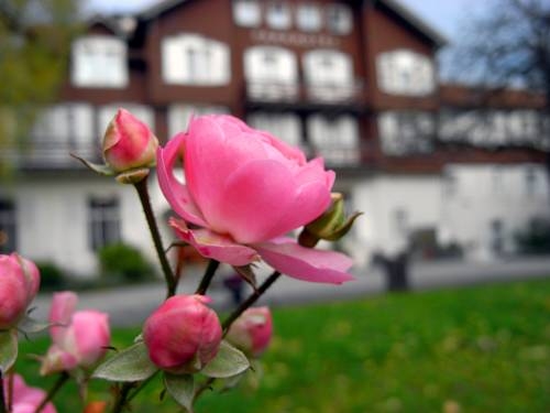 Parkhotel — Bad Ragaz — photo 4